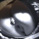 A camera installed beneath an outhouse opening records a girl pissing, shitting and then wiping her ass. No audio, but nice voyeur scene. About 1.5 minutes.